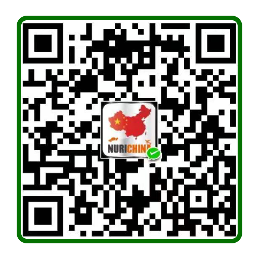 china wechat pay mauskharpalcnbc